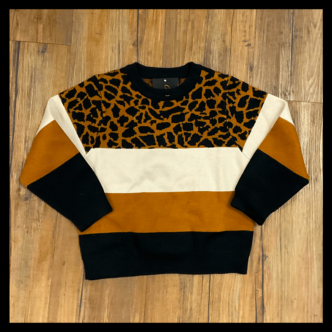 aria kai 4Y Color Block Cheeta sweater