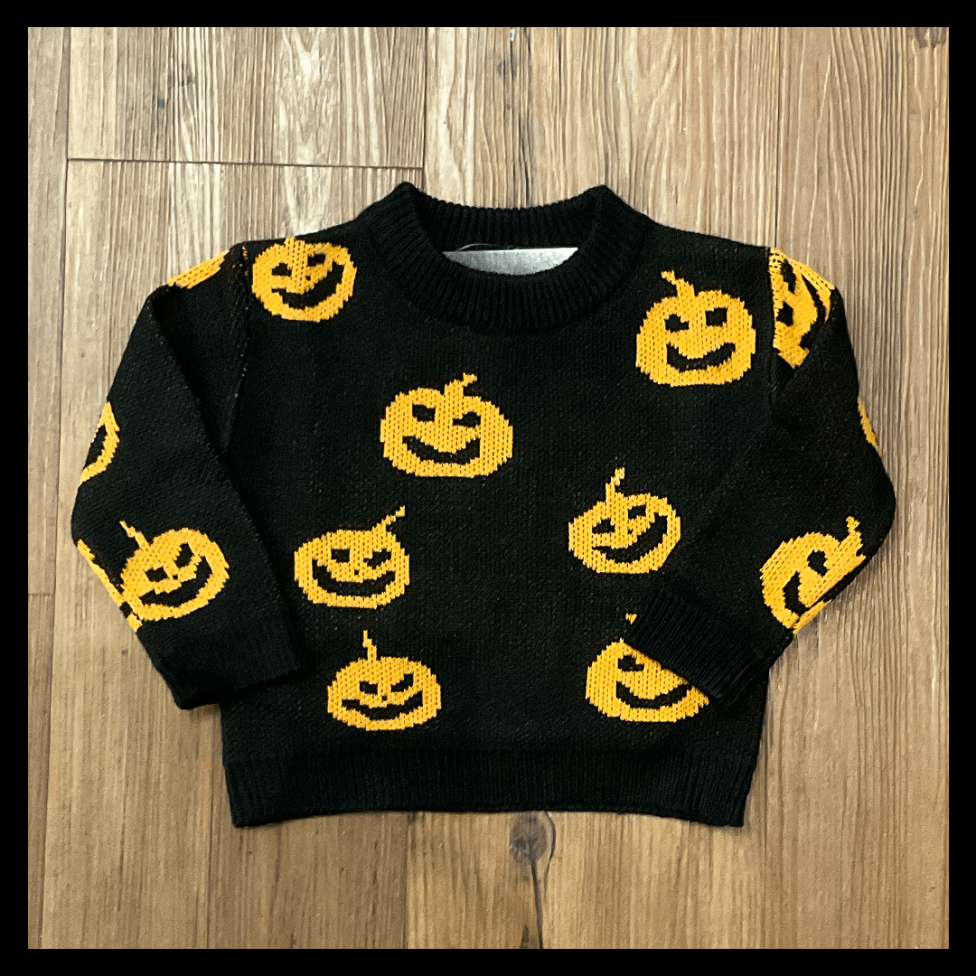 aria kai 6-9 punkin Print Sweater