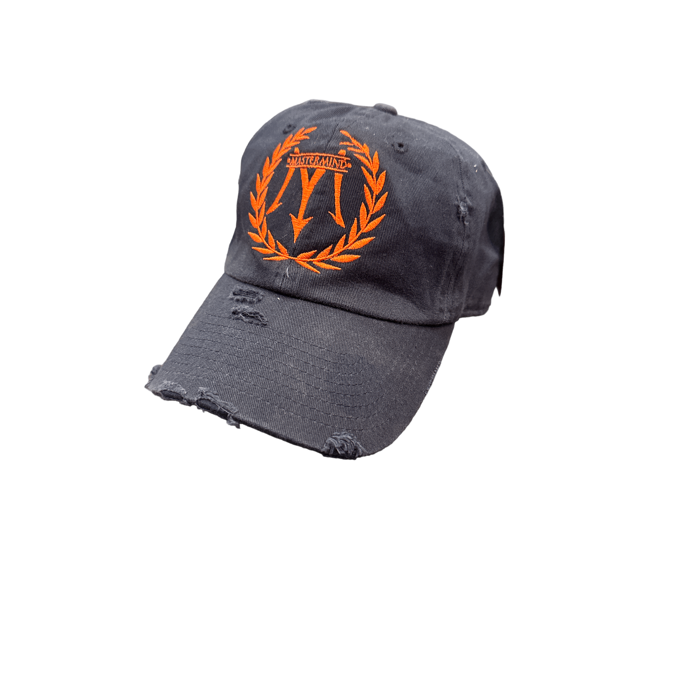 Mastermind315 Orangemen Crest Mastermind cap