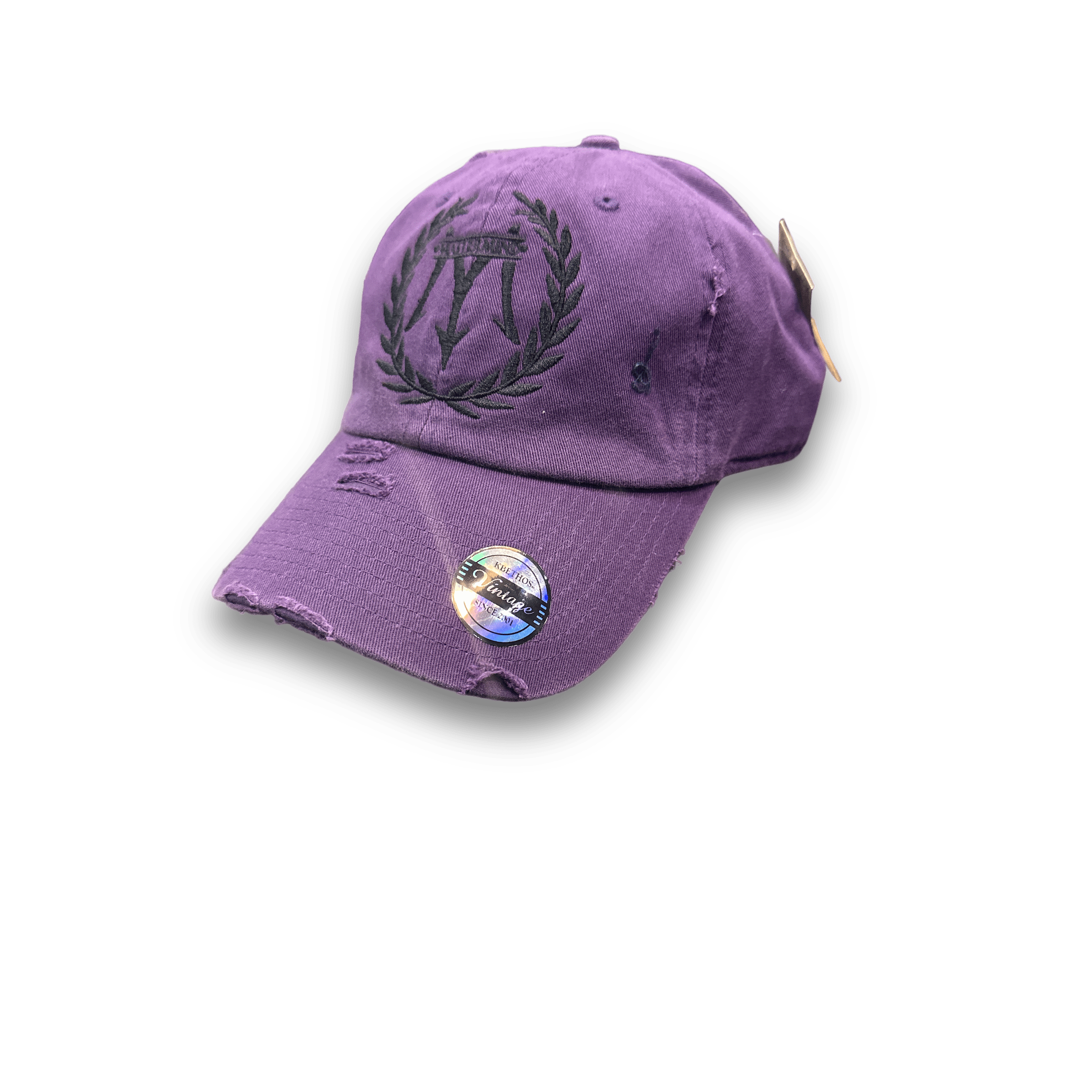 Mastermind315 Purple Raven  Crest Mastermind cap