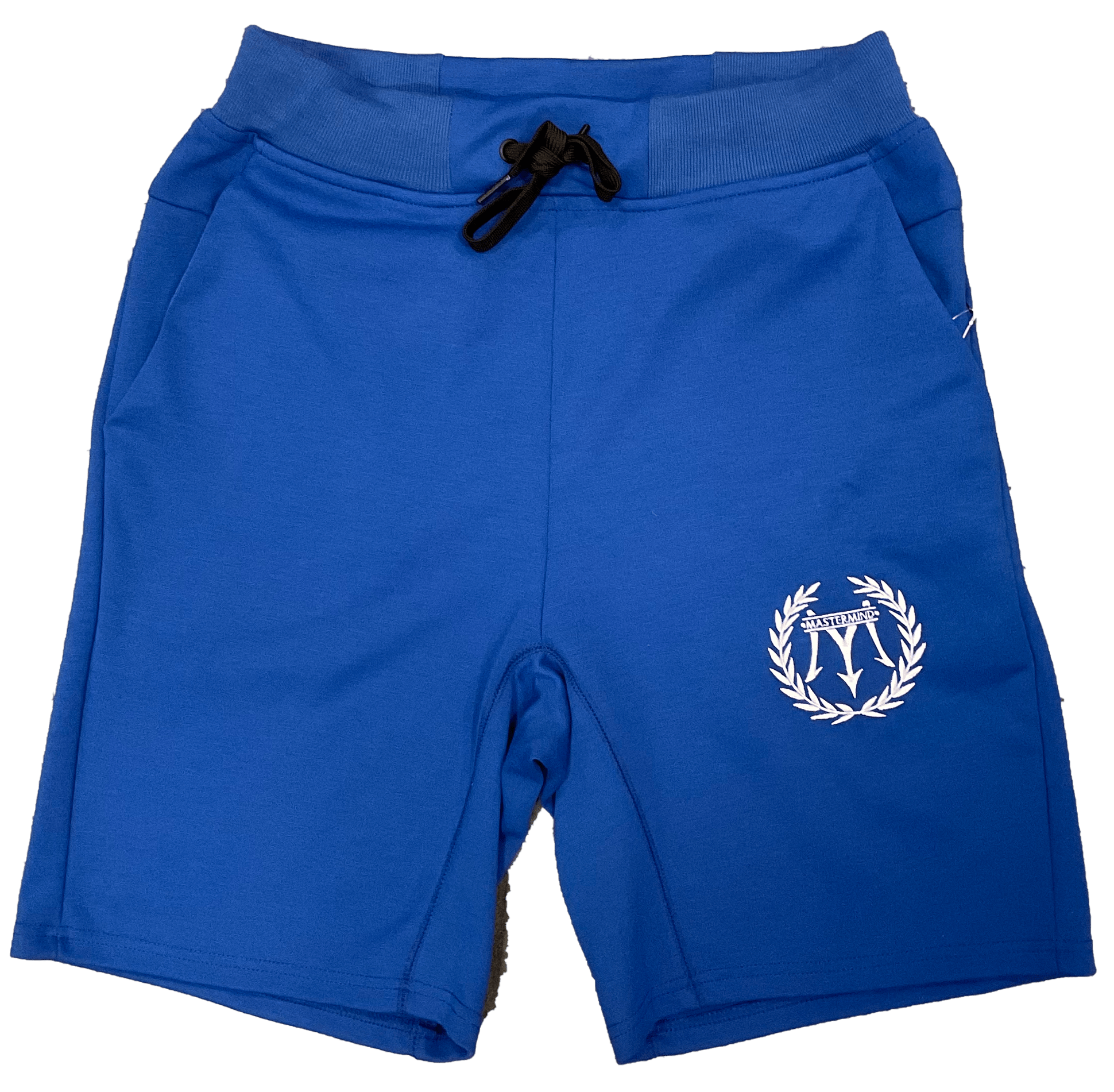 Mastermind315 S Blue Berry Tech Shorts